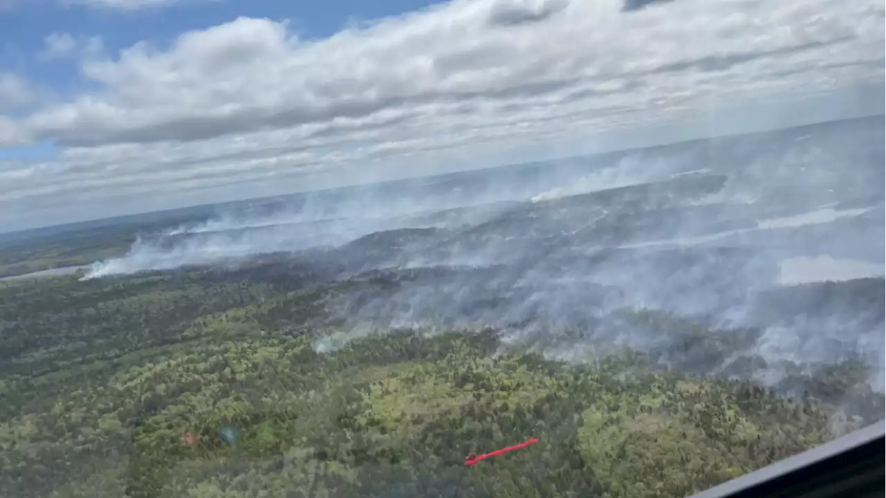 Early estimates indicate 200 structures damaged in Halifax-area wildfire