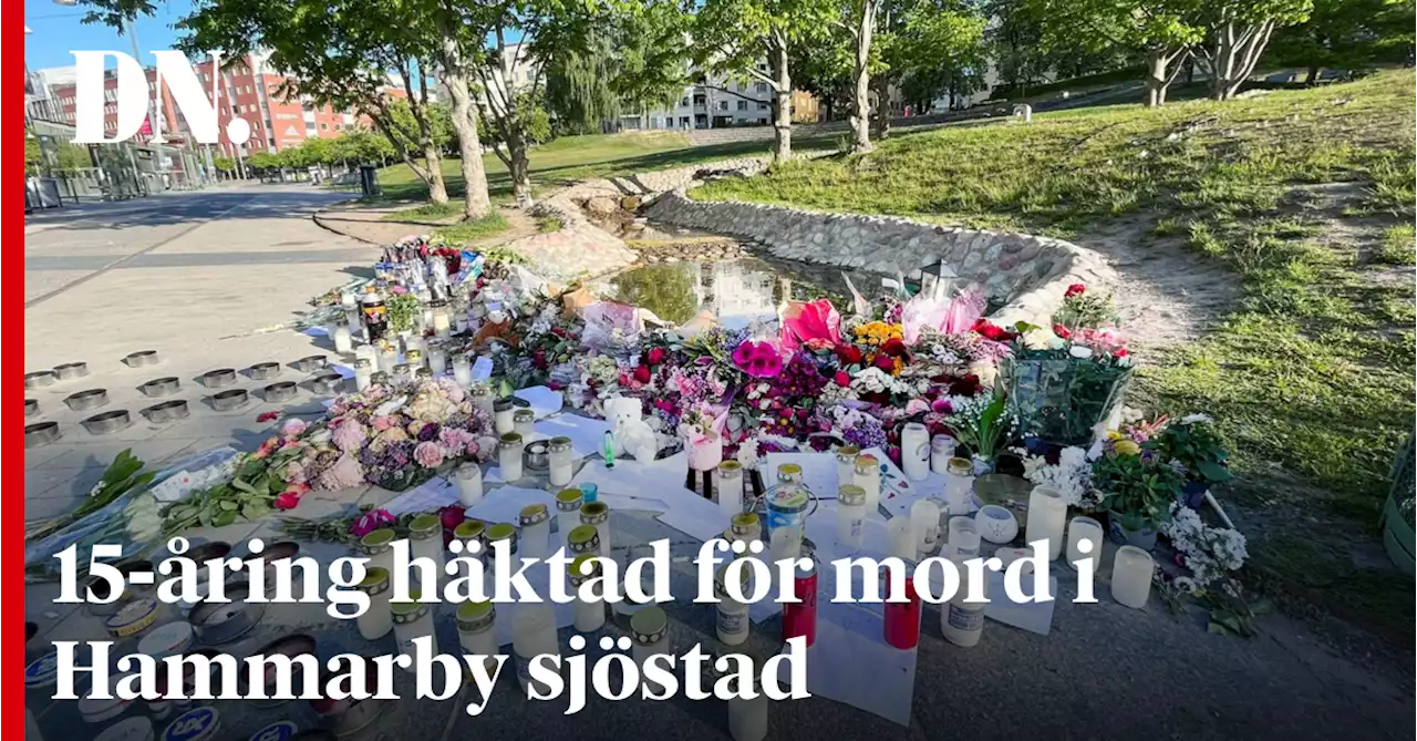 15-åring häktad för mord i Hammarby sjöstad