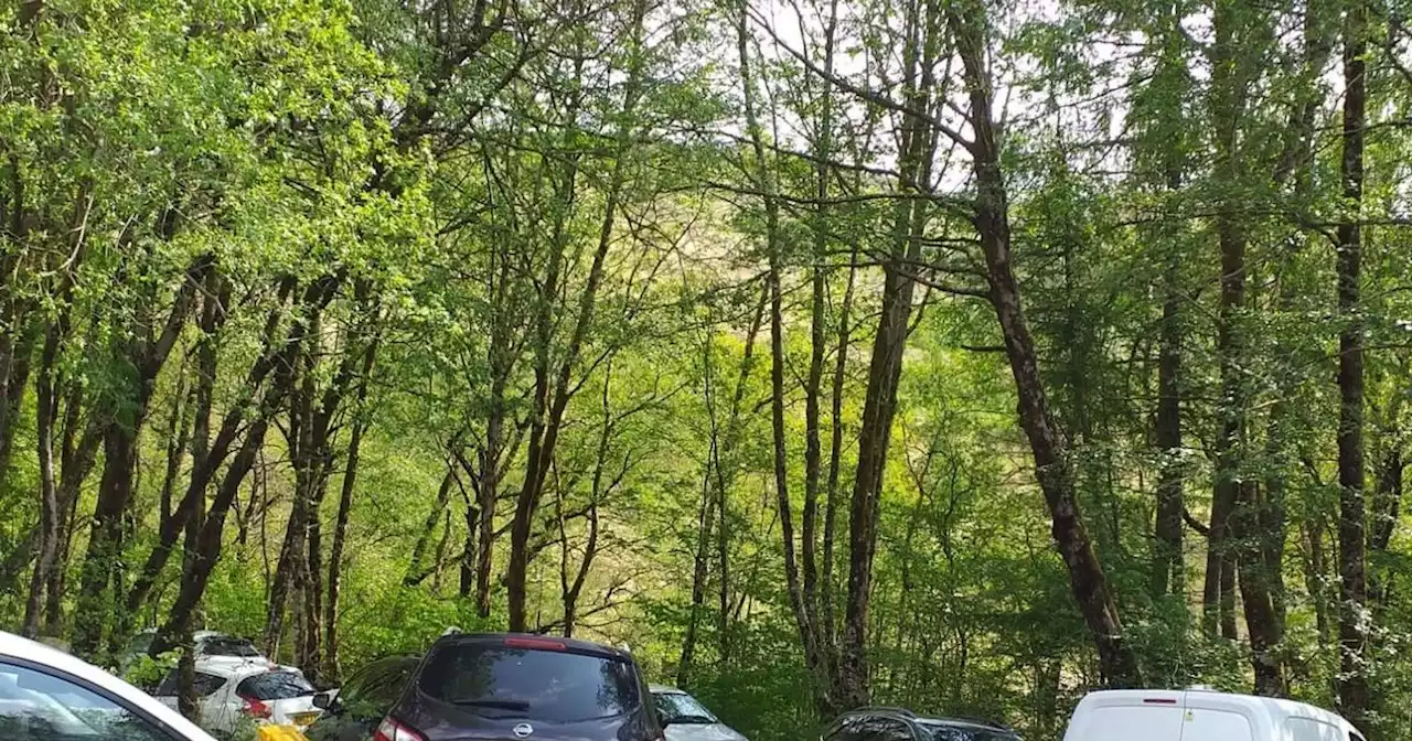 Loch Lomond visitors warned 'find another place to visit' as car parks full