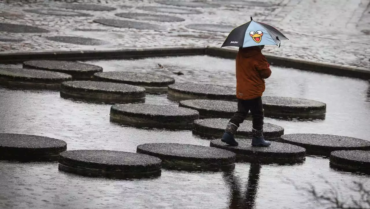 Feuchter Frühling in Deutschland: So nass war es laut Wetterdienst seit zehn Jahren nicht