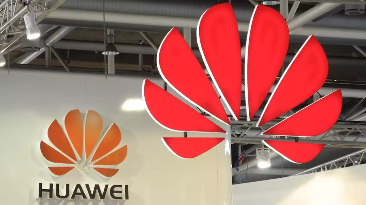 Juristas pedem prazo “razoável” para se excluir Huawei do 5G