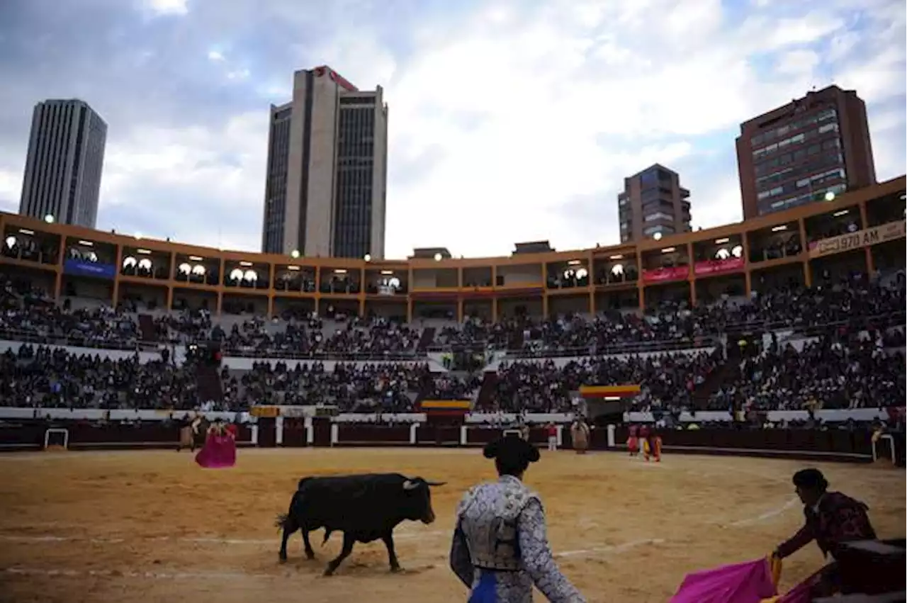 Así va el referendo que busca modificar las prácticas crueles con animales en Colombia