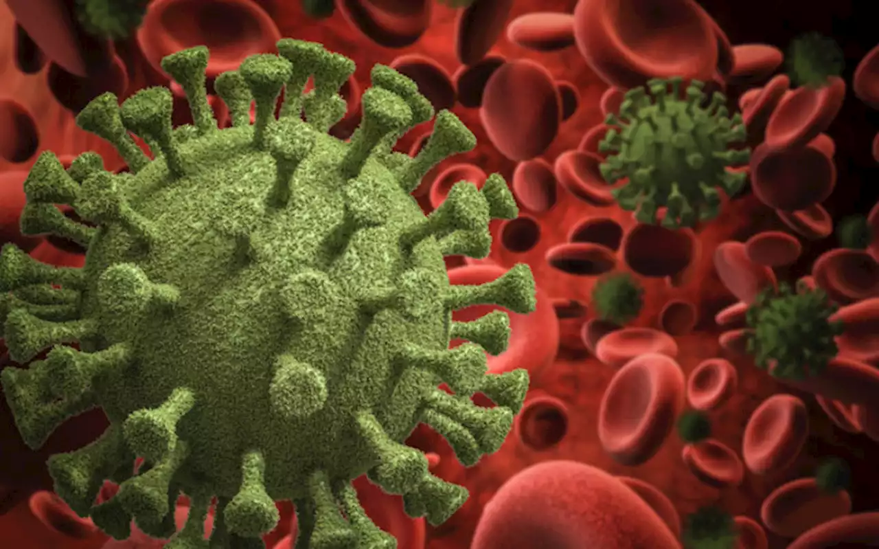 Researchers testing if COVID-19 surveillance tool can track cholera spread