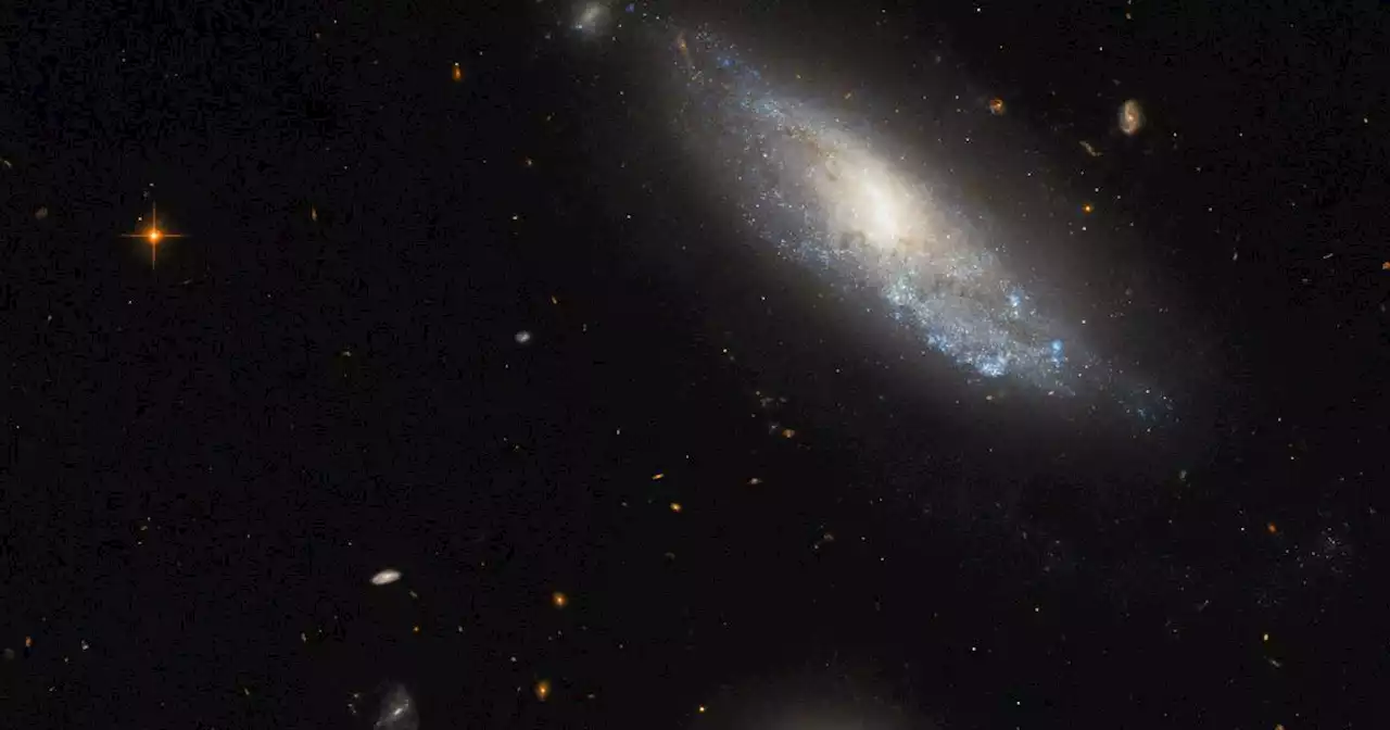 Telescopio Hubble explora las secuelas de la explosión estelar catastrófica en NGC 298