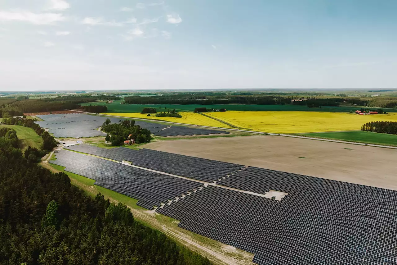 Sveriges största solpark invigd. Ska driva Gröna Lund, Kolmården och Skara Sommarland.