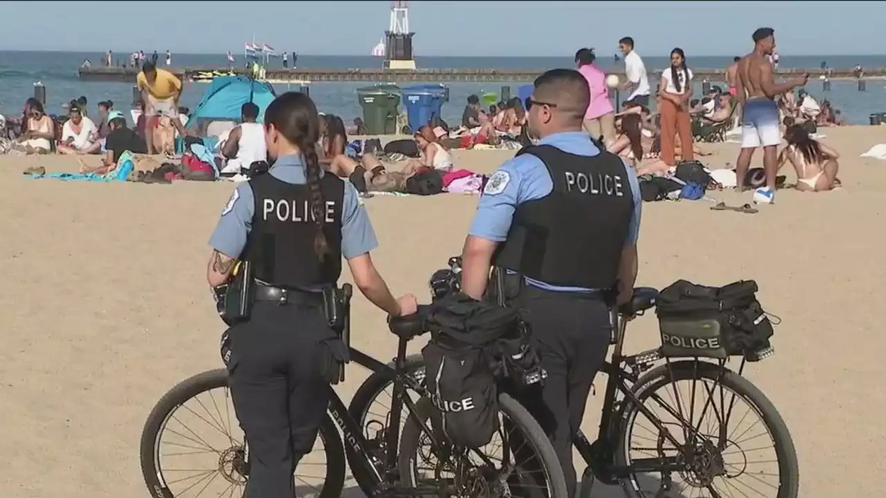 2 teens arrested near North Avenue Beach for having guns