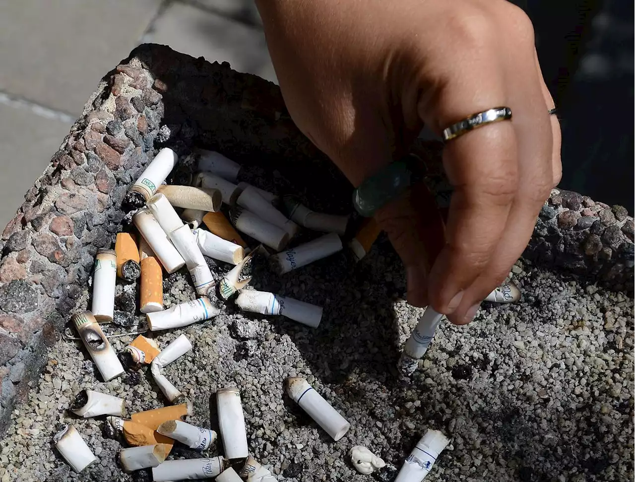 Health groups urge provinces to seek anti-smoking measures in Big Tobacco settlement