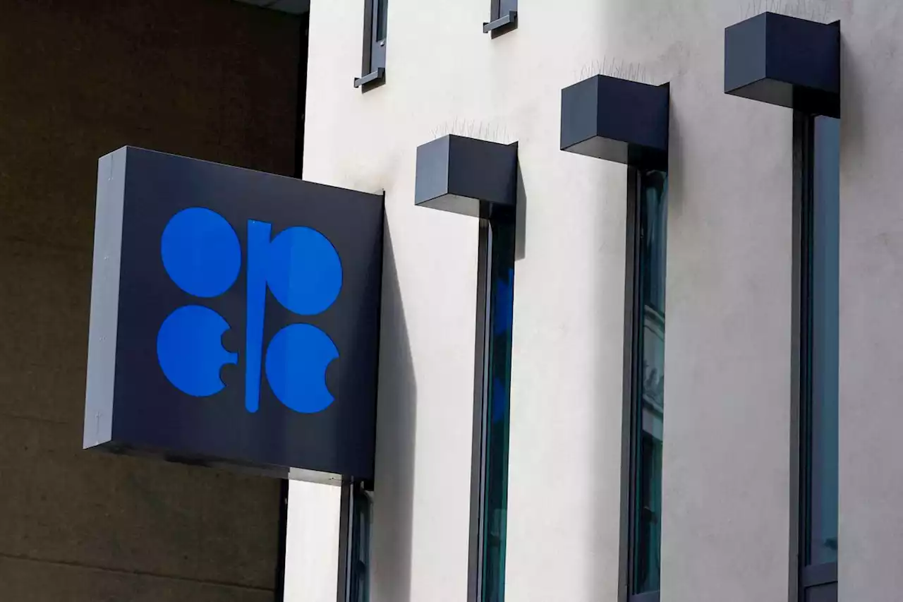 What have OPEC+ producers said ahead of June’s oil policy meeting?