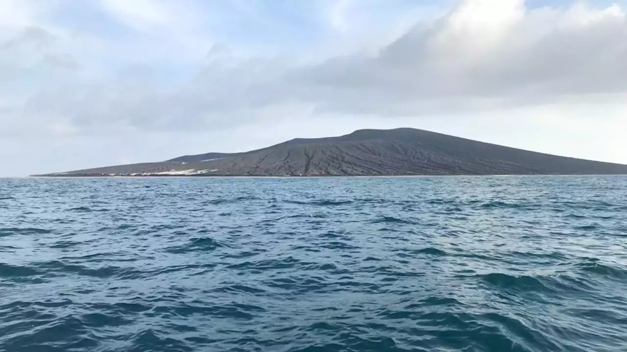 Kehidupan Baru Pascaerupsi, 21 Jenis Tumbuhan Ditemukan di Pulau Krakatau