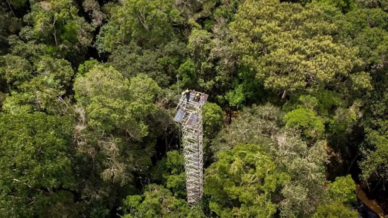 City in Brazil's Amazon rain forest to host 2025 climate summit