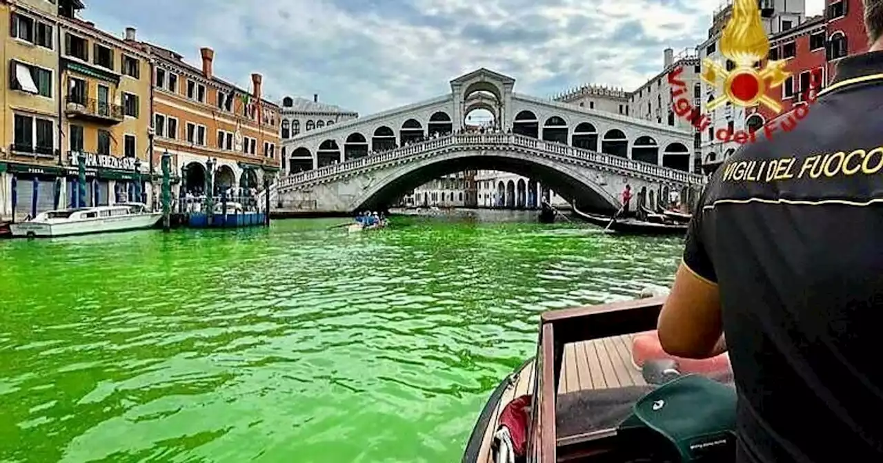 Venice Canal Turns Green And The Mystery Is Solved