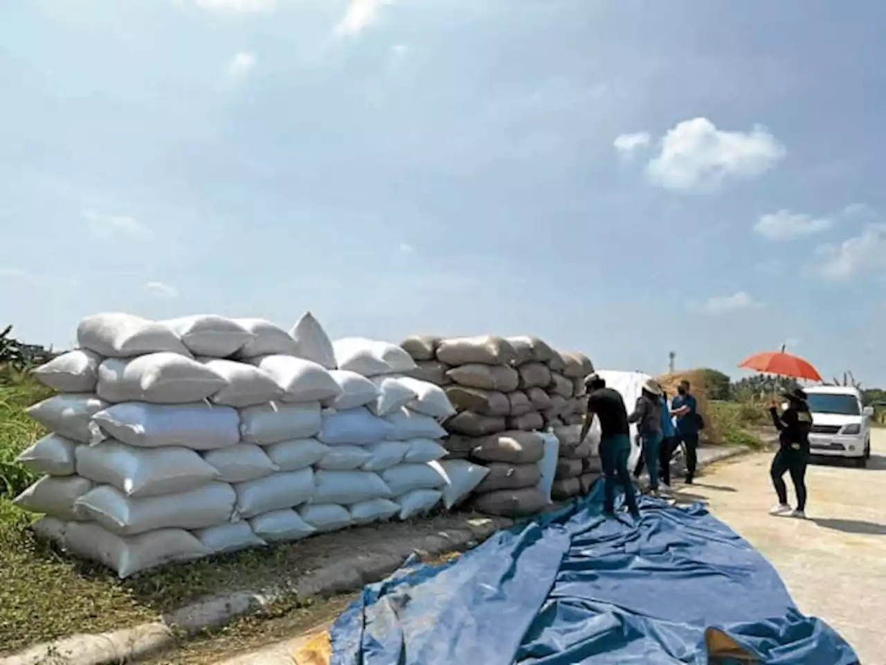 Over 600 Bulacan farmers get higher buying price for palay