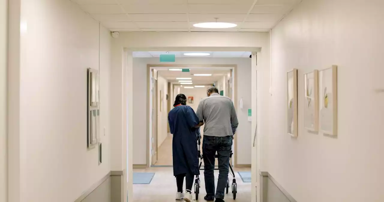 Large Irish nursing homes 2.5 times more likely to have Covid-19 outbreaks, study finds