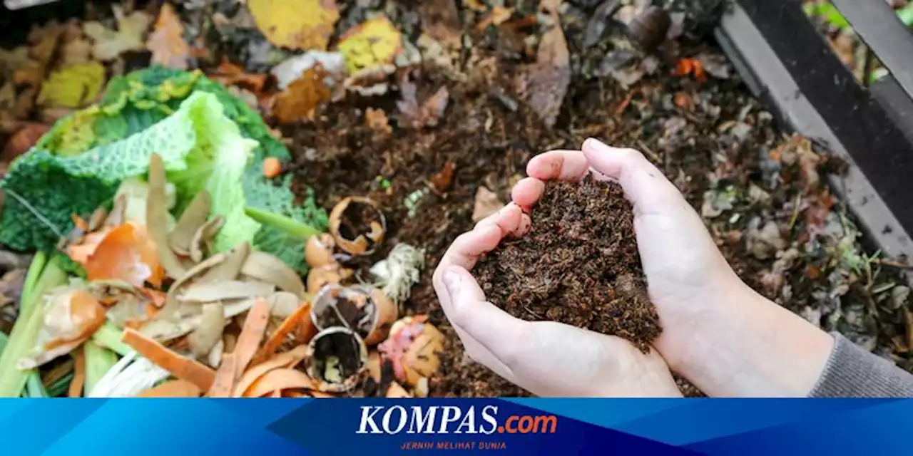 5 Masalah Umum dalam Pembuatan Kompos, Bau hingga Berlendir