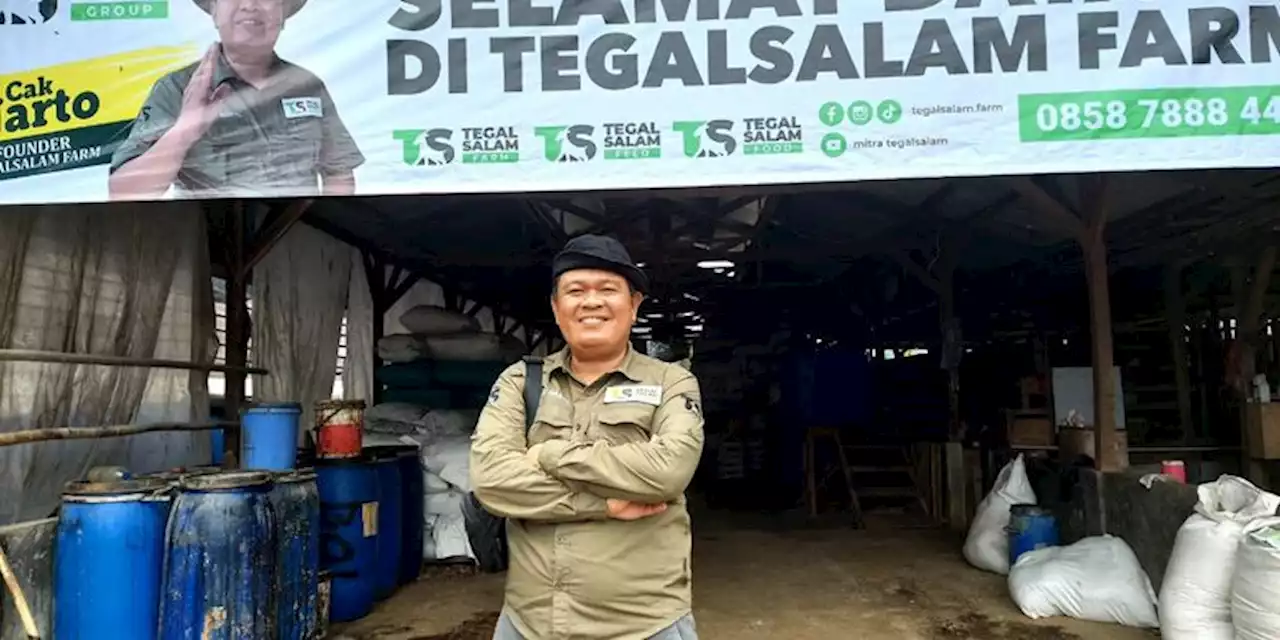 Cak Narto Sukses Berbisnis Ternak Kambing dan Domba untuk Usaha Sampingan