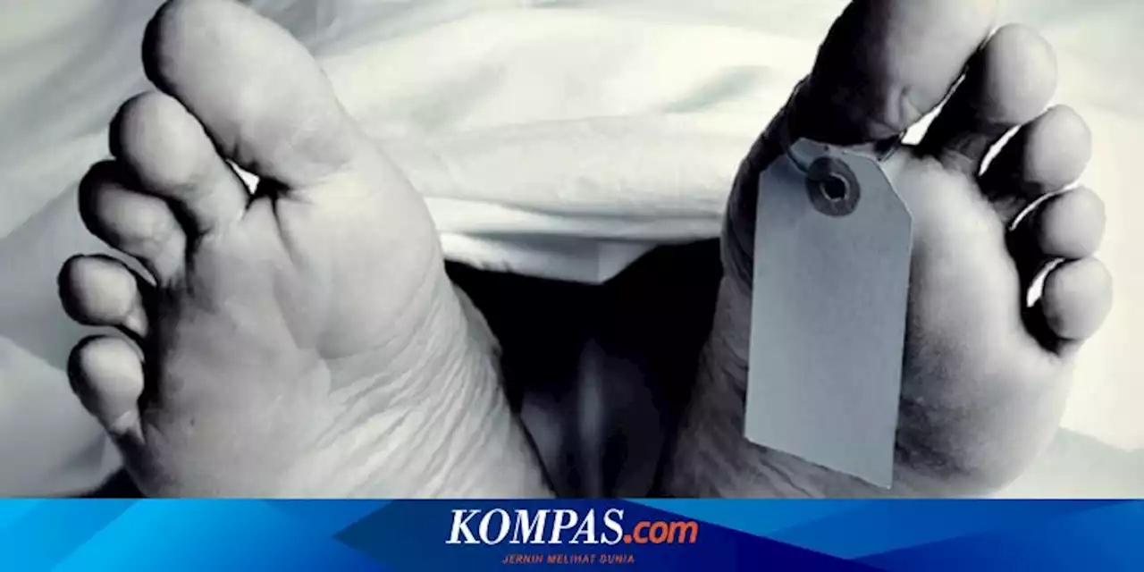 Melawan dan Lukai Petugas Saat Akan Ditangkap, Pria Pembunuh IRT di Kalsel Tewas Ditembak Polisi