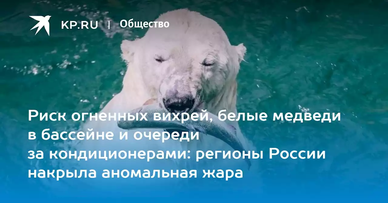 Риск огненных вихрей, белые медведи в бассейне и очереди за кондиционерами: регионы России накрыла аномальная жара