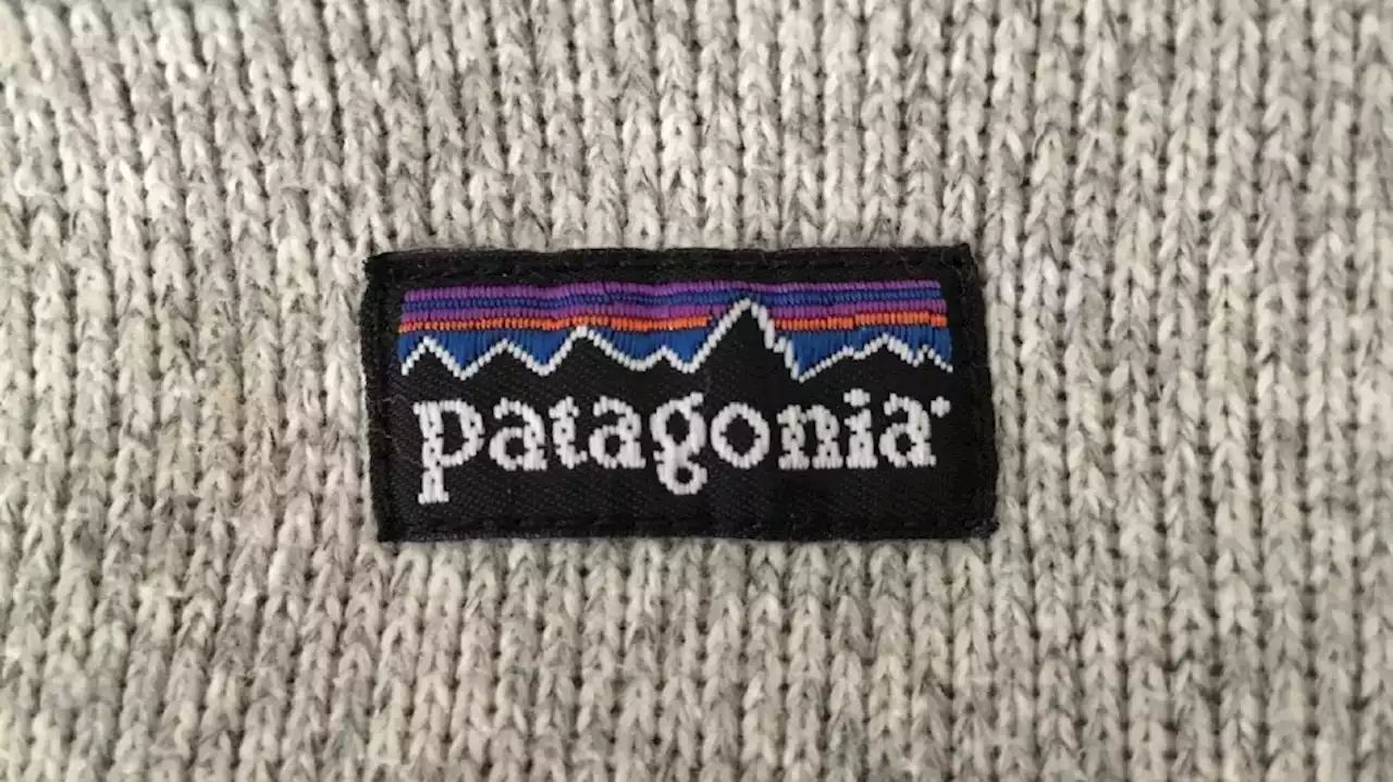 Patagonia ranks first in poll measuring reputation of big businesses across U.S.