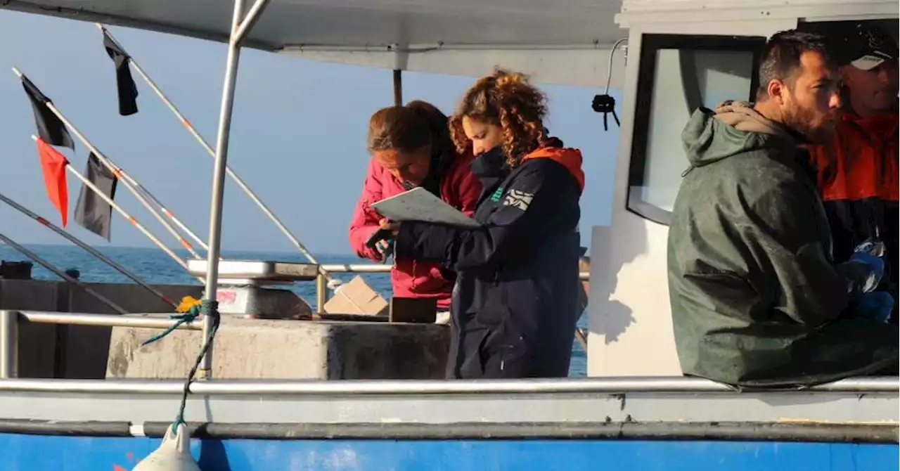 Pêcheurs et Parc de Camargue s'engagent à protéger le golfe de Beauduc