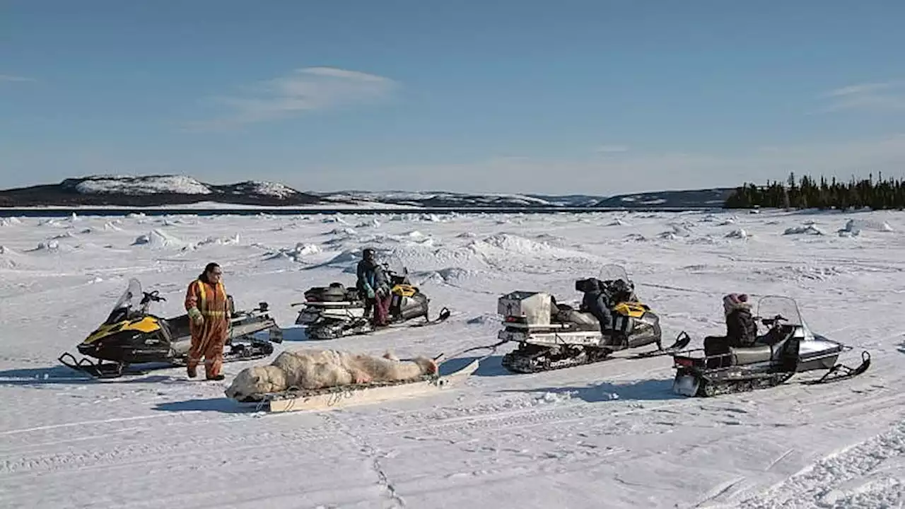 Polar bear hunts, pageants and other images from a new photo book about New Brunswick - Macleans.ca