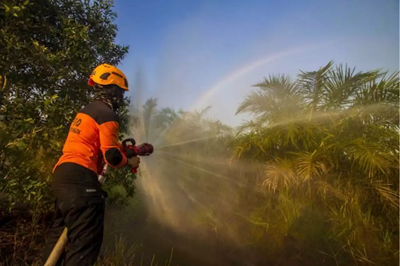 Lahan Gambut di Kalsel Terus Terbakar