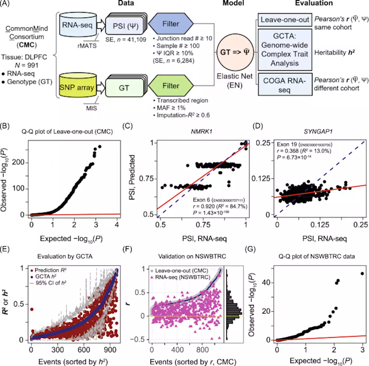 RNA alternative splicing impacts the risk for alcohol use disorder - Molecular Psychiatry