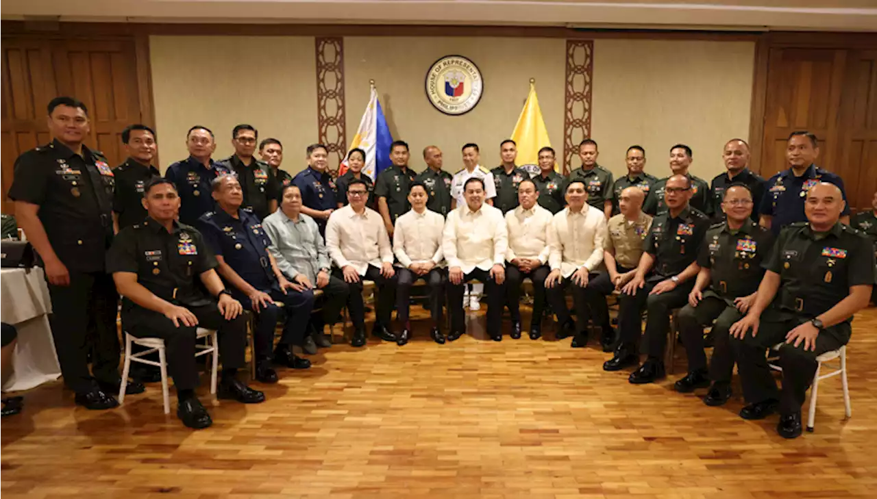 Speaker salutes the soldiers for exemplary service to PH