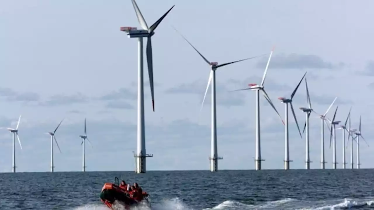 Canada unveils plan for regulating offshore wind energy projects in Atlantic Canada | CBC News