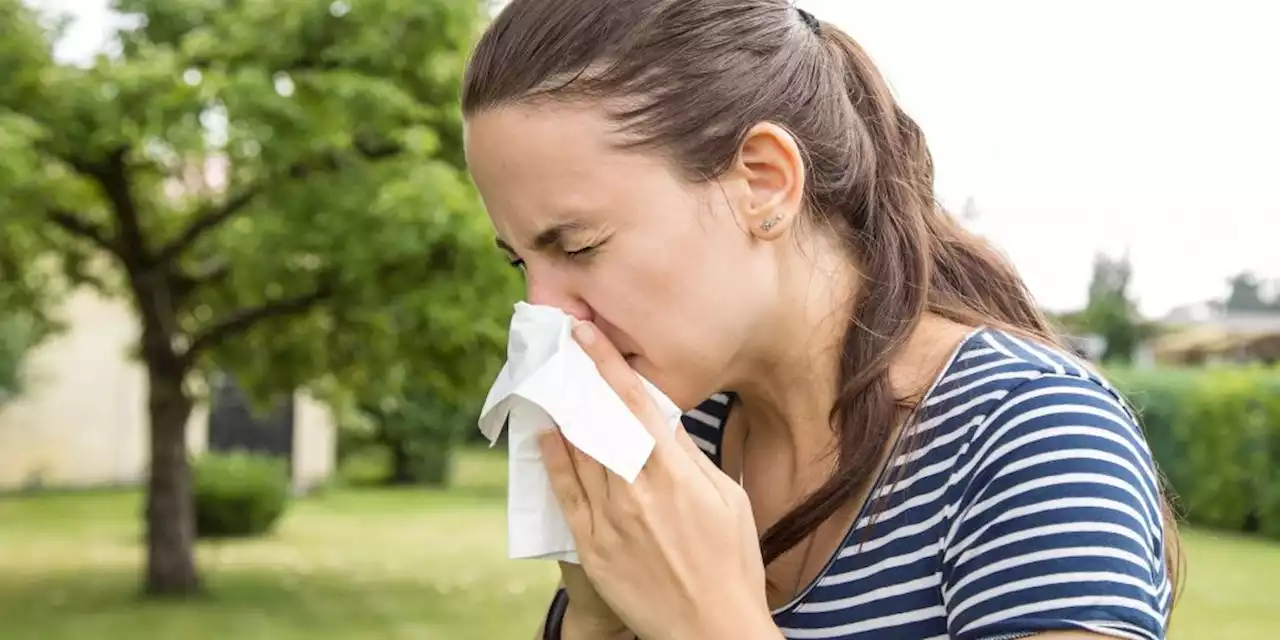 Fiese Bise treibt Pollen «direkt in Nase und Augen»