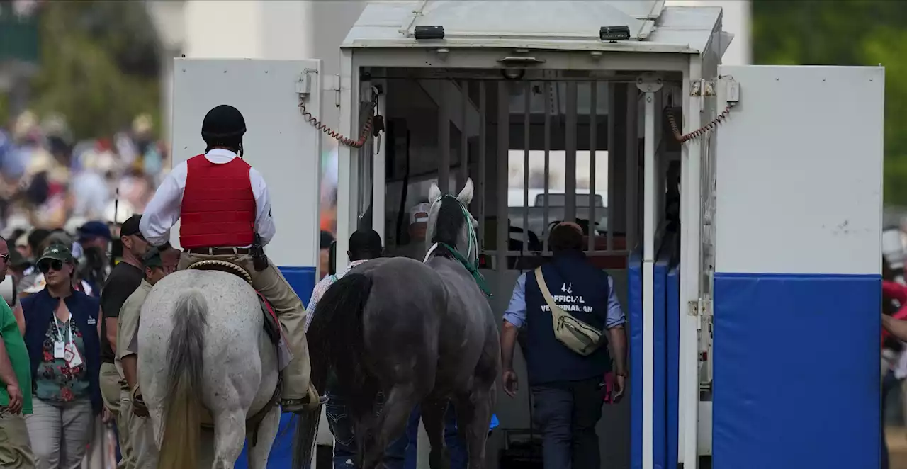 Horse Racing Authority Calls for Emergency Summit With Churchill Downs in Wake of 12 Deaths