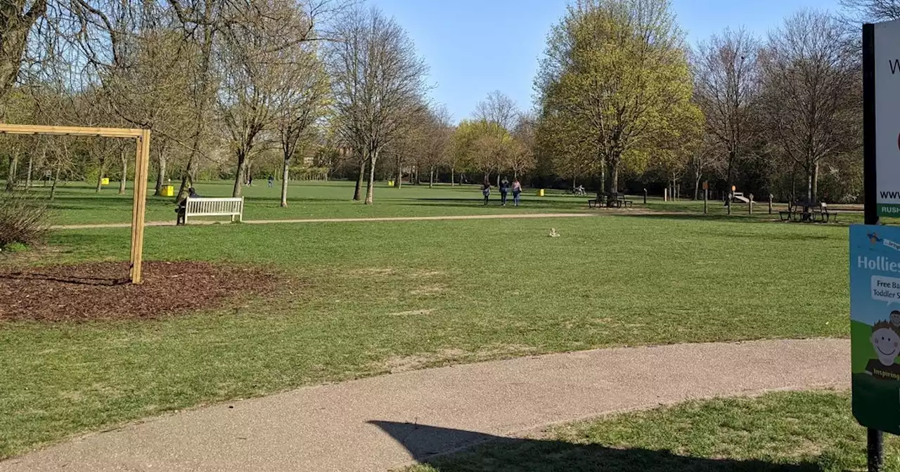 Police called to reports of youths fighting in popular park