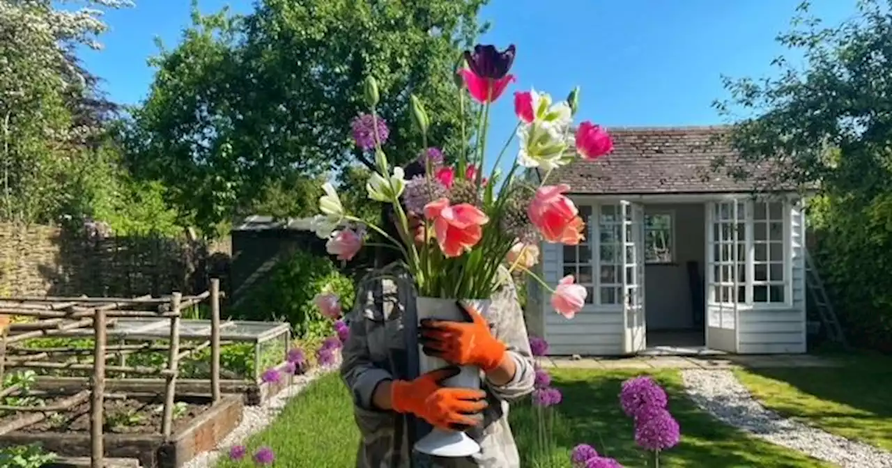 Everything I Use to Grow My Own Cut Flowers Deep in the British Countryside