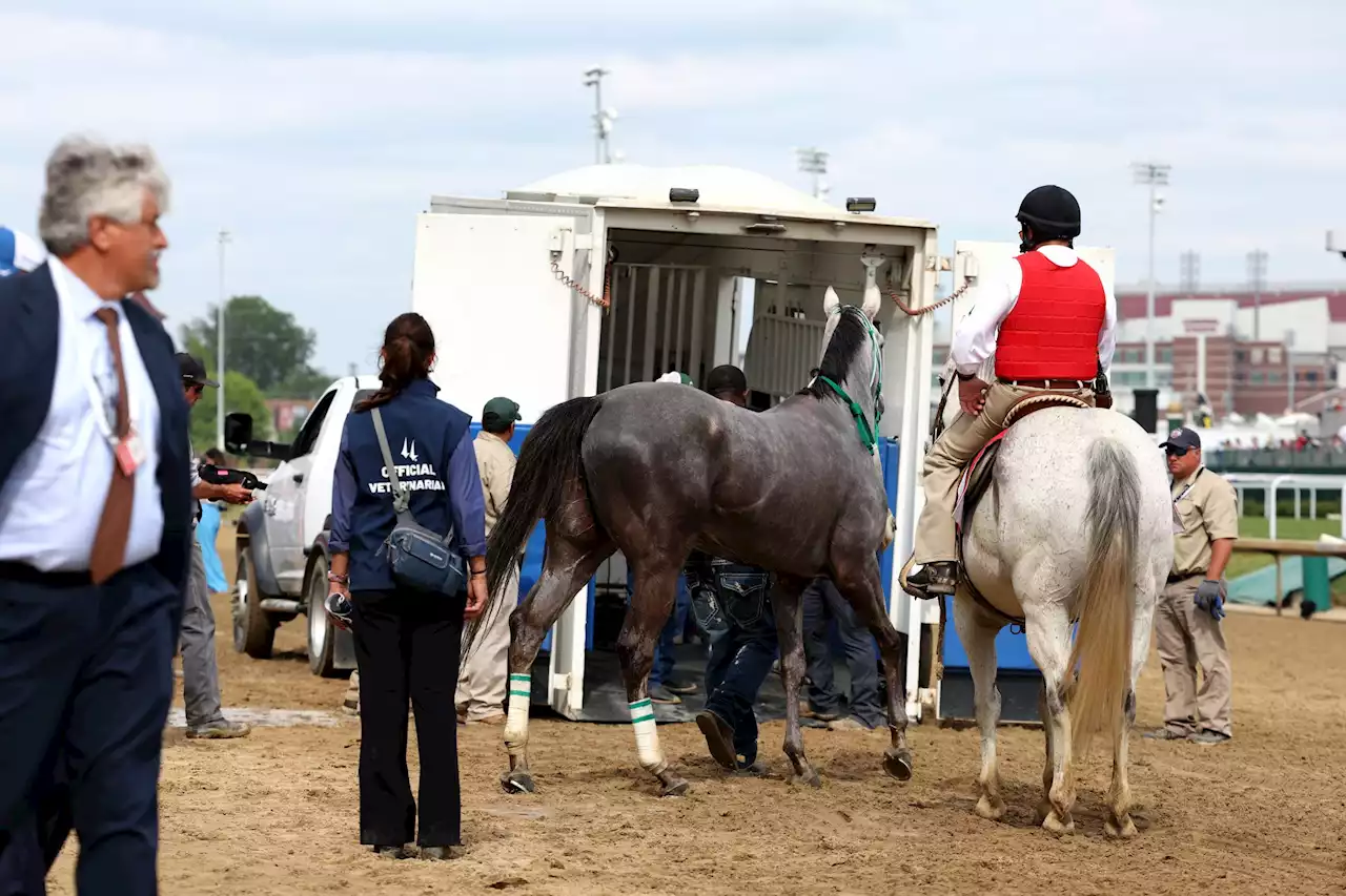 Emergency horse racing summit called after 12 horses dead at Churchill Downs