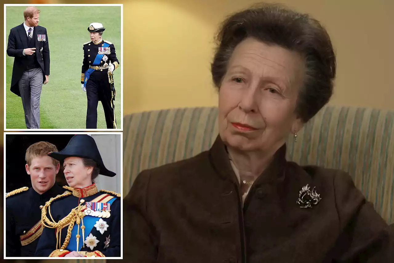 Princess Anne has soft spot for Prince Harry, but even she is furious: royal expert