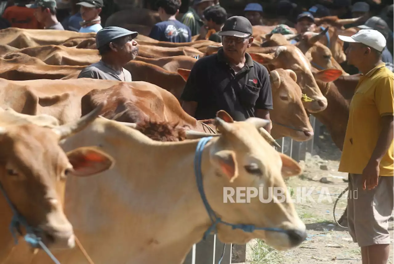 Pemkab Wajibkan Hewan Kurban Idul Adha Divaksinasi Sebelum Masuk Bekasi |Republika Online