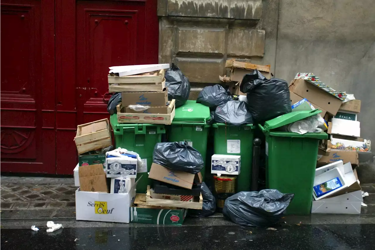 Nantes : deux mois après la grève des éboueurs, les poubelles s'entassent toujours au sud de la ville