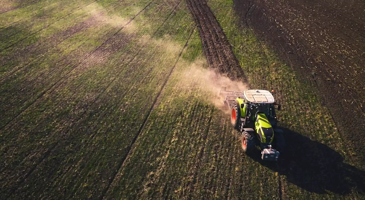 Agricultores queixam-se de atraso nos apoios por causa da seca