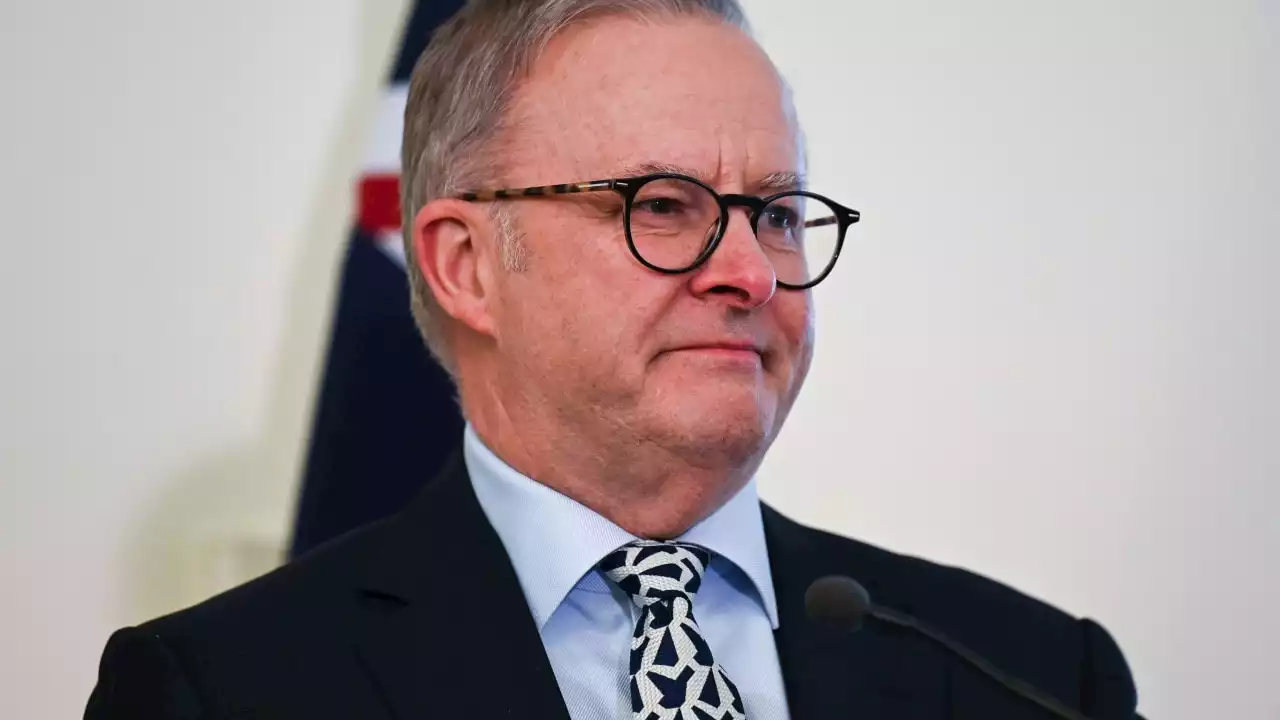 'Got to call it out': Albo stands ground over 'Chicken Little' remark