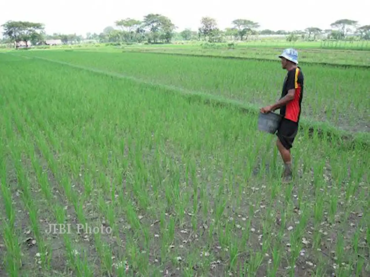 Gaji Petugas Lapangan Sensus Pertanian Rp4 Juta per Bulan, Ini Penjelasan BPS