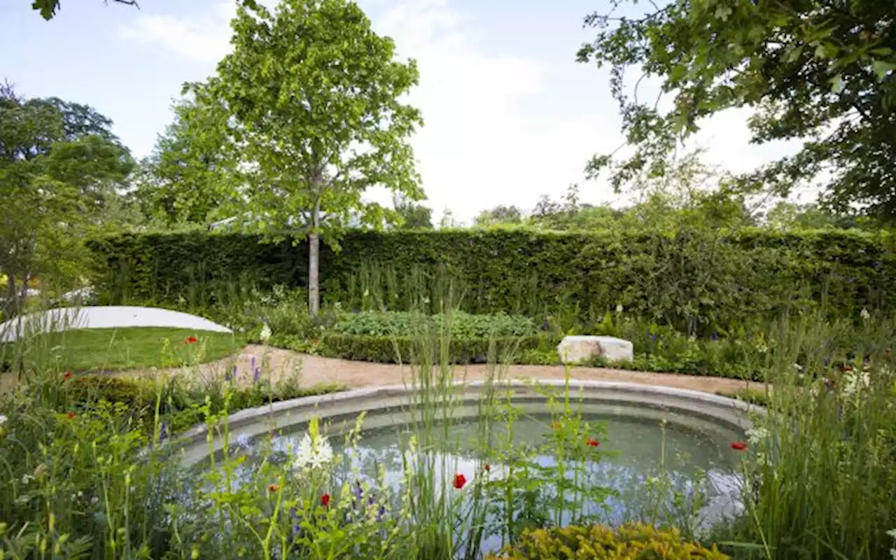 Create Your Dream Garden With These Tips From Award-Winning Designer James Purdy | Stellar