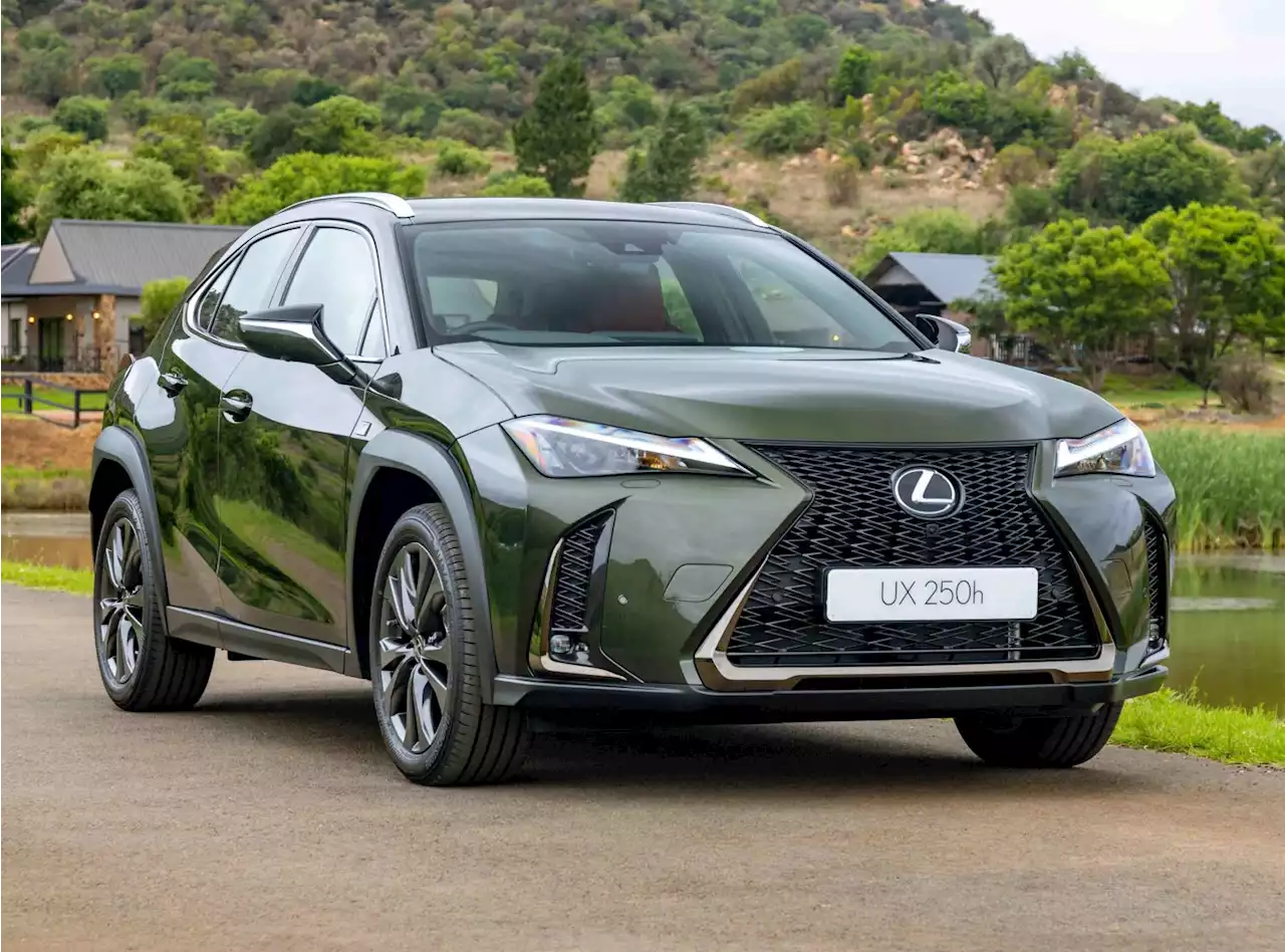 Sophisticated Lexus UX keeps up with the times | The Citizen