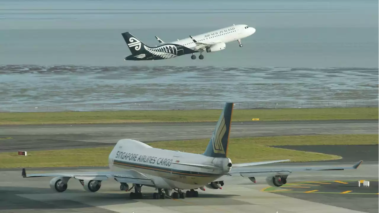 Air New Zealand Will Now Weigh International Passengers