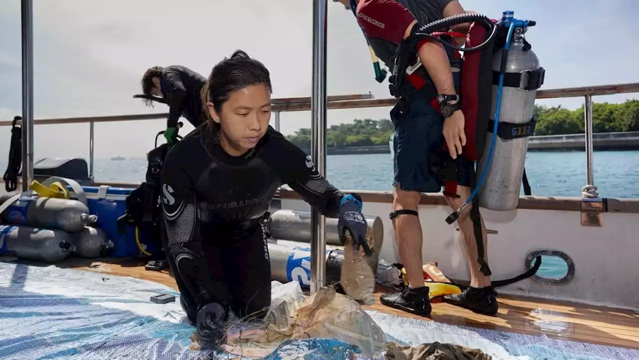 10 Singapore youths win recognition at inaugural awards for efforts in conservation, environmental causes