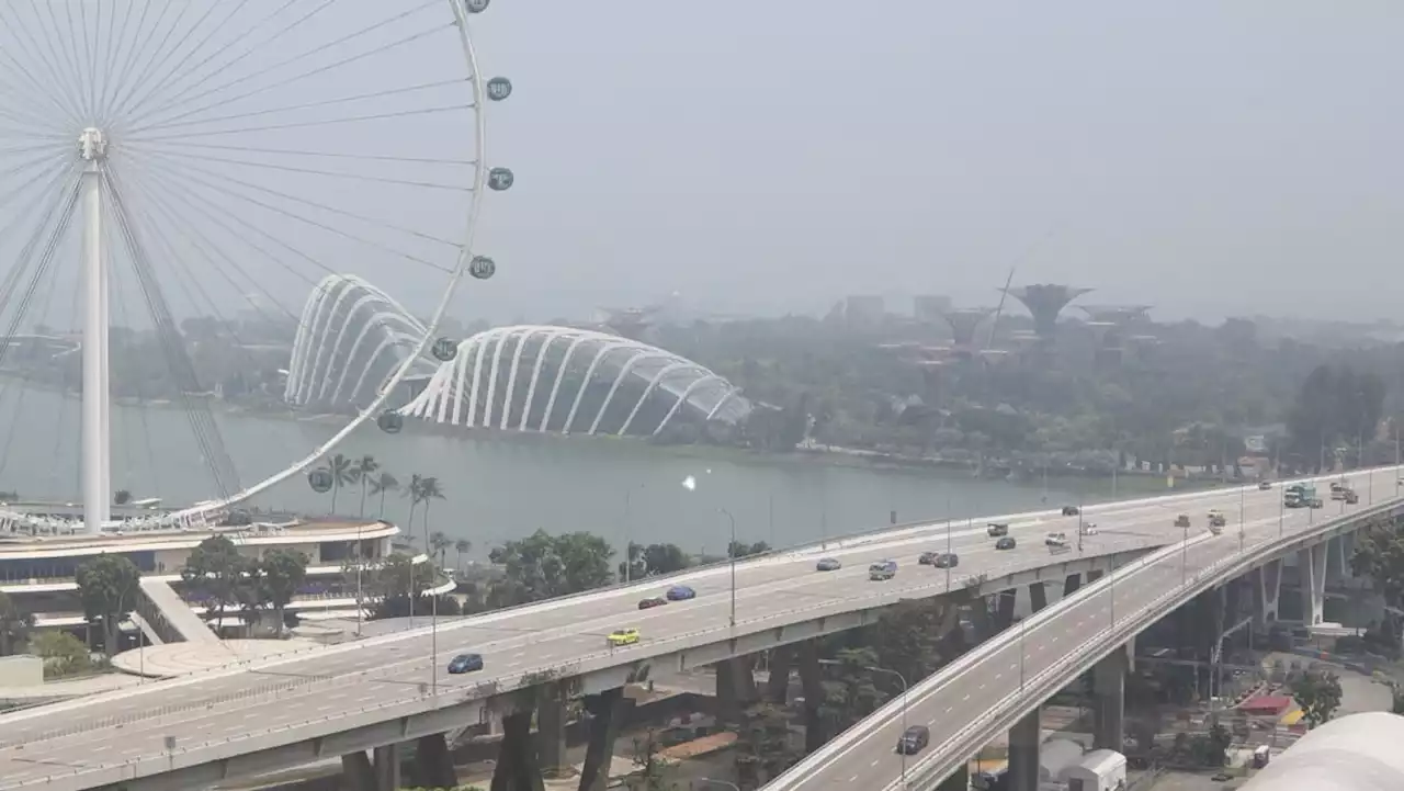 Singapore coordinating action plans amid higher haze risk