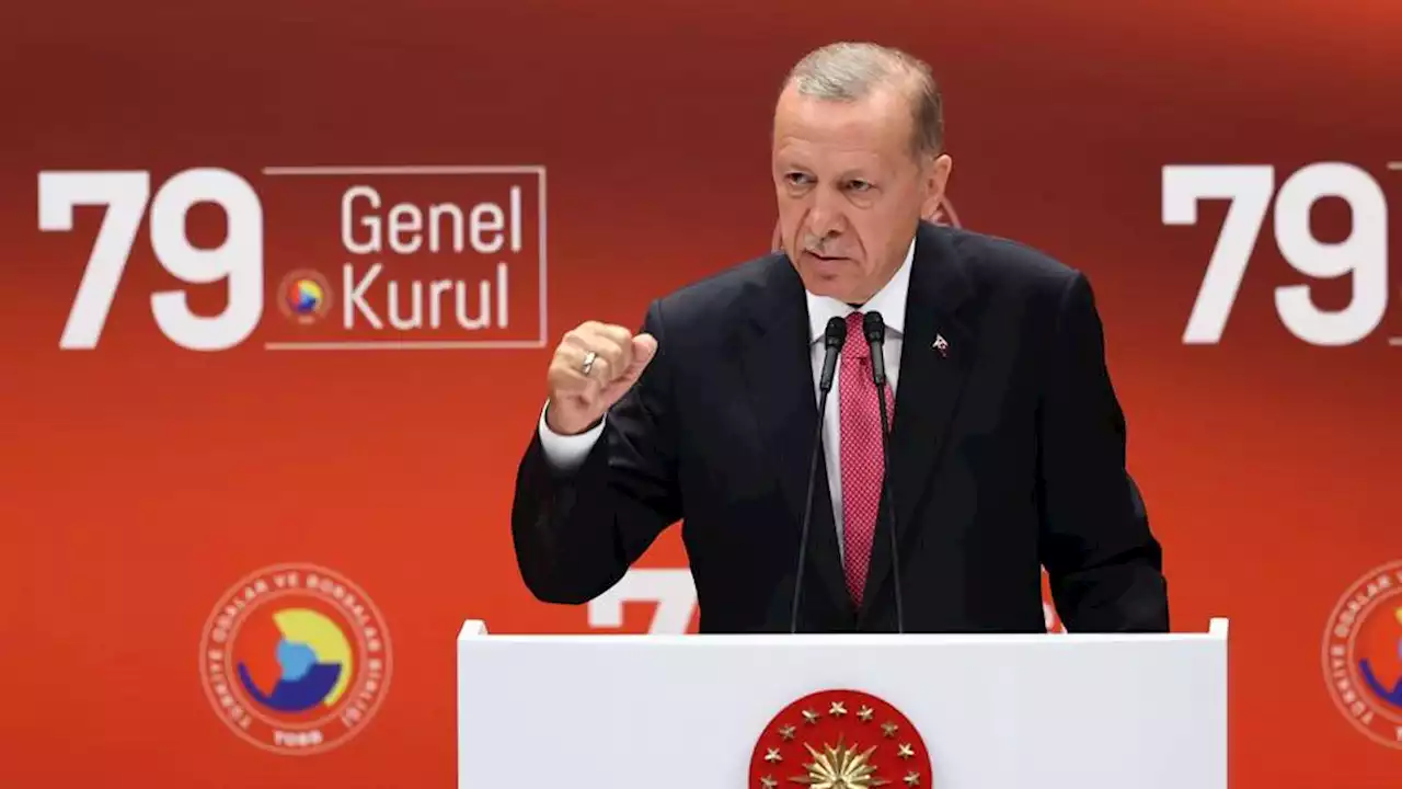 أردوغان: هدفنا إقامة حزام أمن وسلام حول تركيا وتوطيد علاقاتنا بدول المنطقة