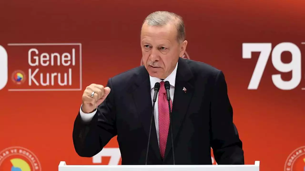 Erdogan: Türkiye to establish 'belt of security and peace' around world