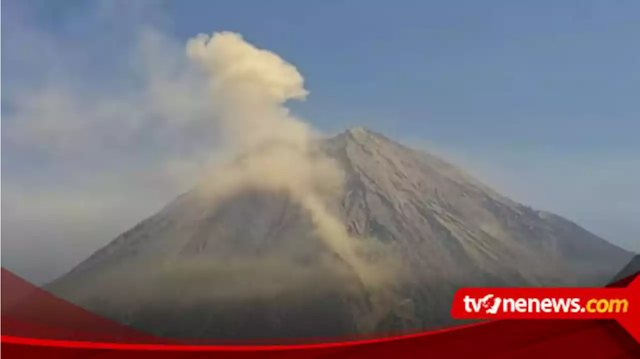 Aktivitas Masih Tinggi, Letusan dan Guguran Lava Gunung Semeru Terus Terjadi