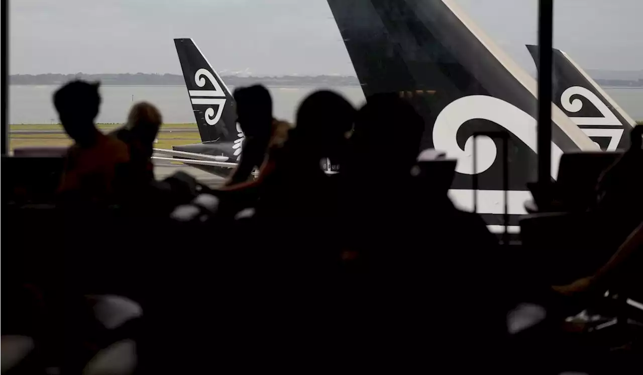 Air New Zealand to weigh passengers as part of survey