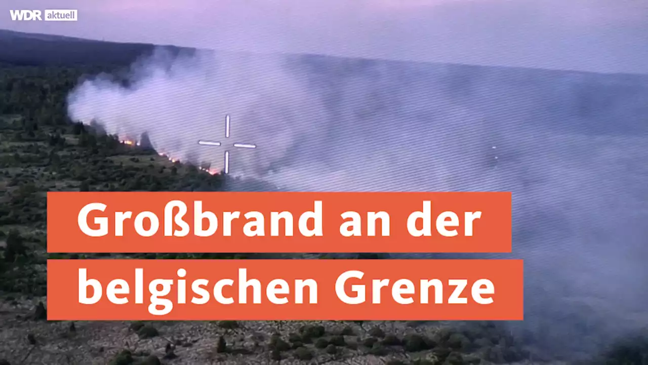 Feuer im Hohen Venn: 170 Hektar Gras im Hochmoor verbrannt