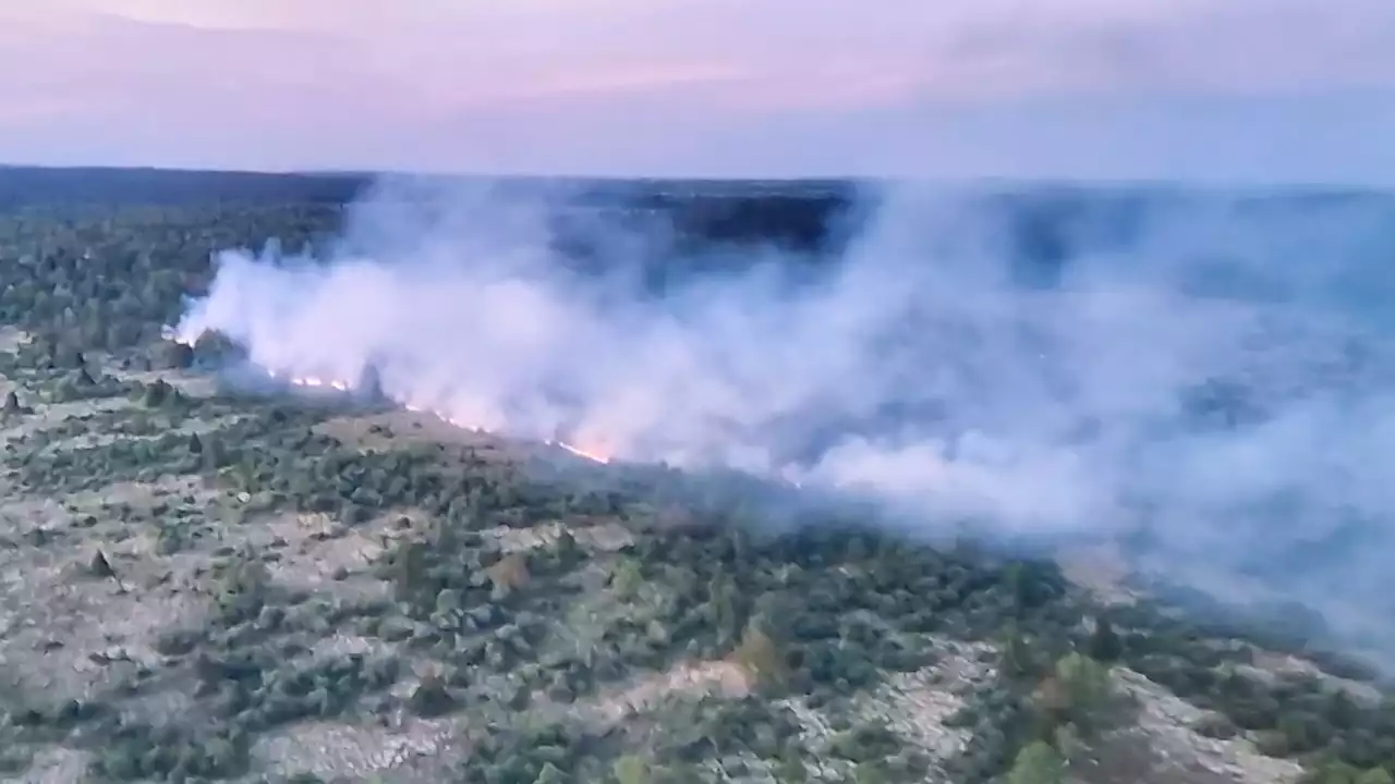 Feuer im Hohen Venn: Wie Moorbrände auf Umwelt und Klima wirken